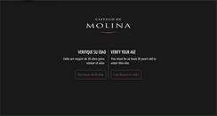 Desktop Screenshot of castillodemolina.cl